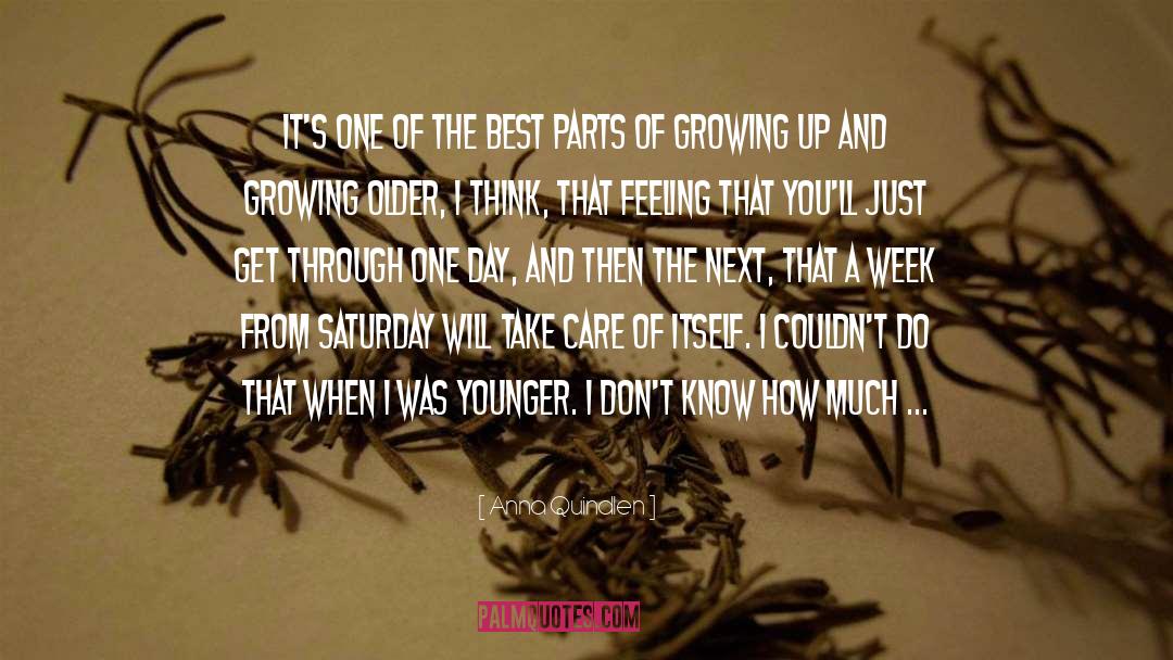 Growing Older quotes by Anna Quindlen