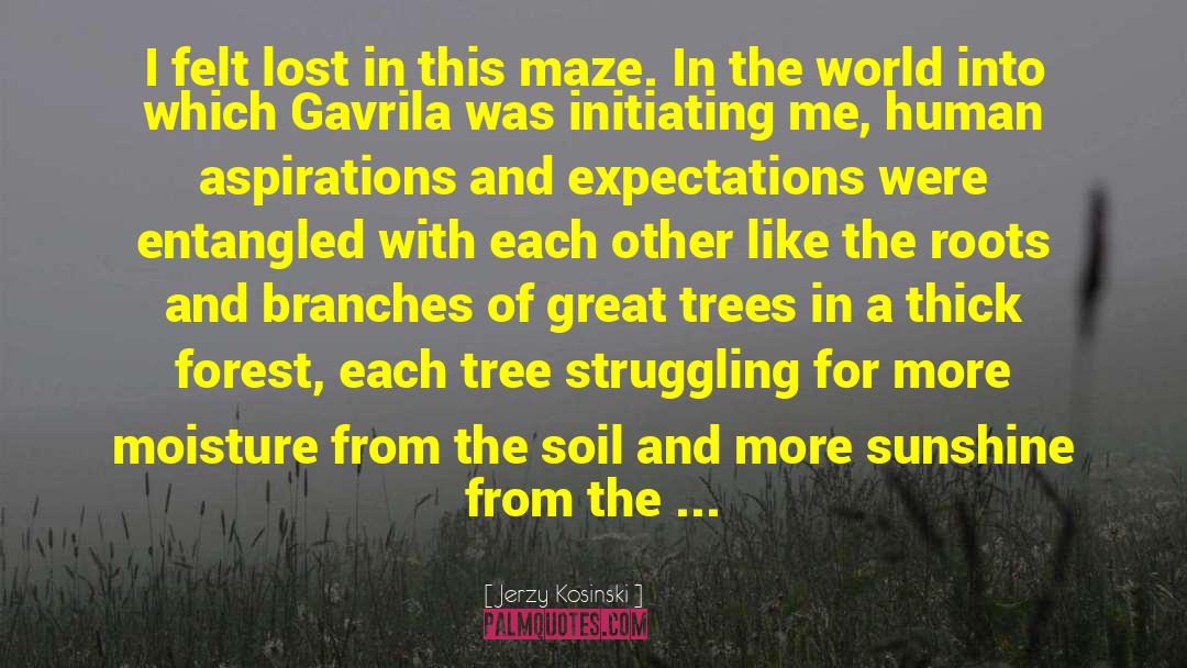 Growing Tree quotes by Jerzy Kosinski