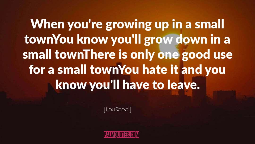 Growing Up In A Small Town quotes by Lou Reed