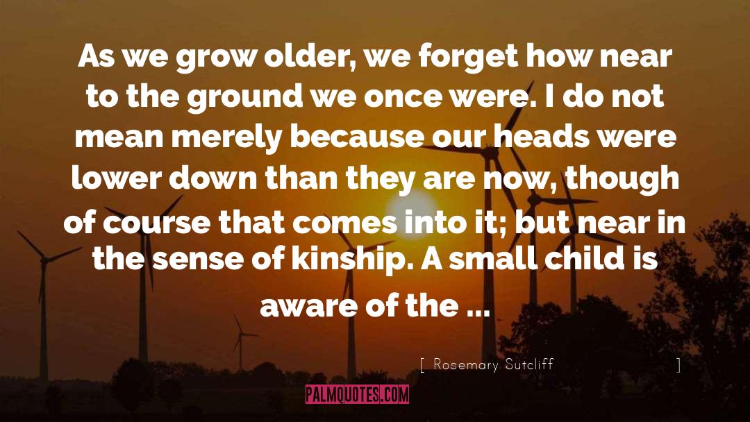 Growing Up In A Small Town quotes by Rosemary Sutcliff