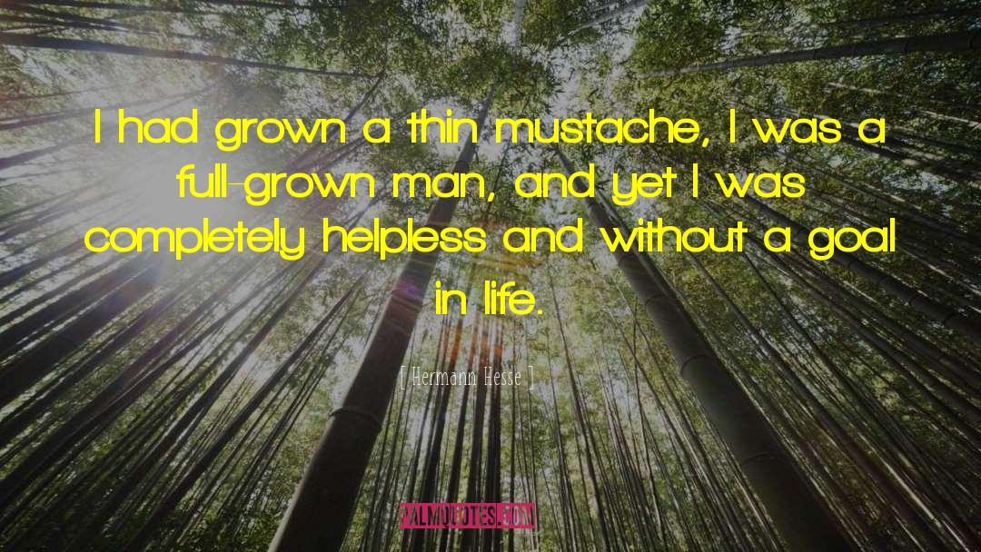 Grown Man quotes by Hermann Hesse