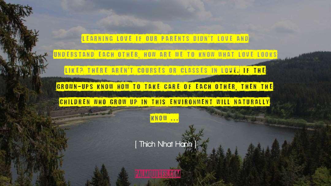 Grown Ups quotes by Thich Nhat Hanh