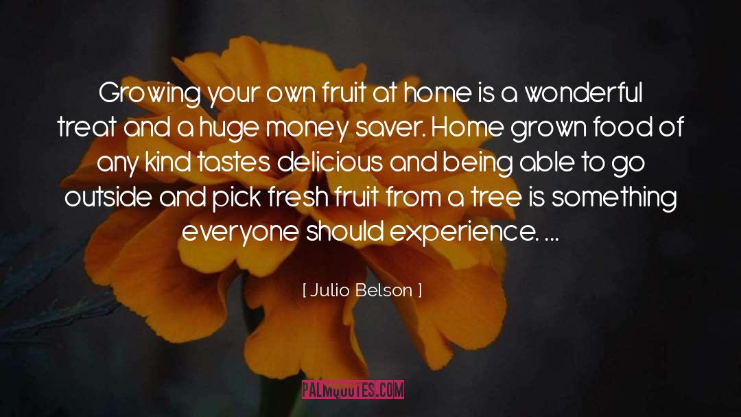 Grown Your Own Wings quotes by Julio Belson