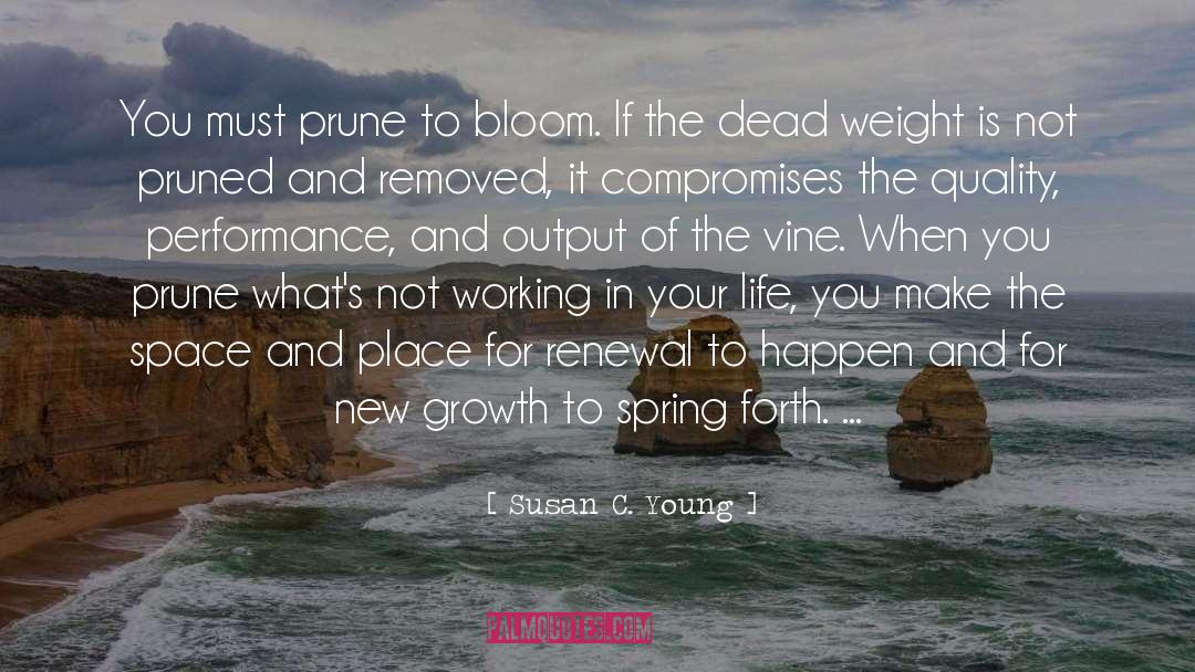 Growth quotes by Susan C. Young