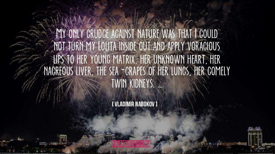 Grudge quotes by Vladimir Nabokov