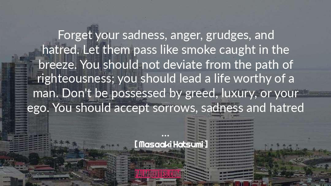 Grudges quotes by Masaaki Hatsumi