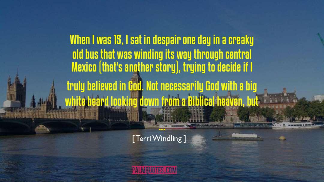 Grueling quotes by Terri Windling