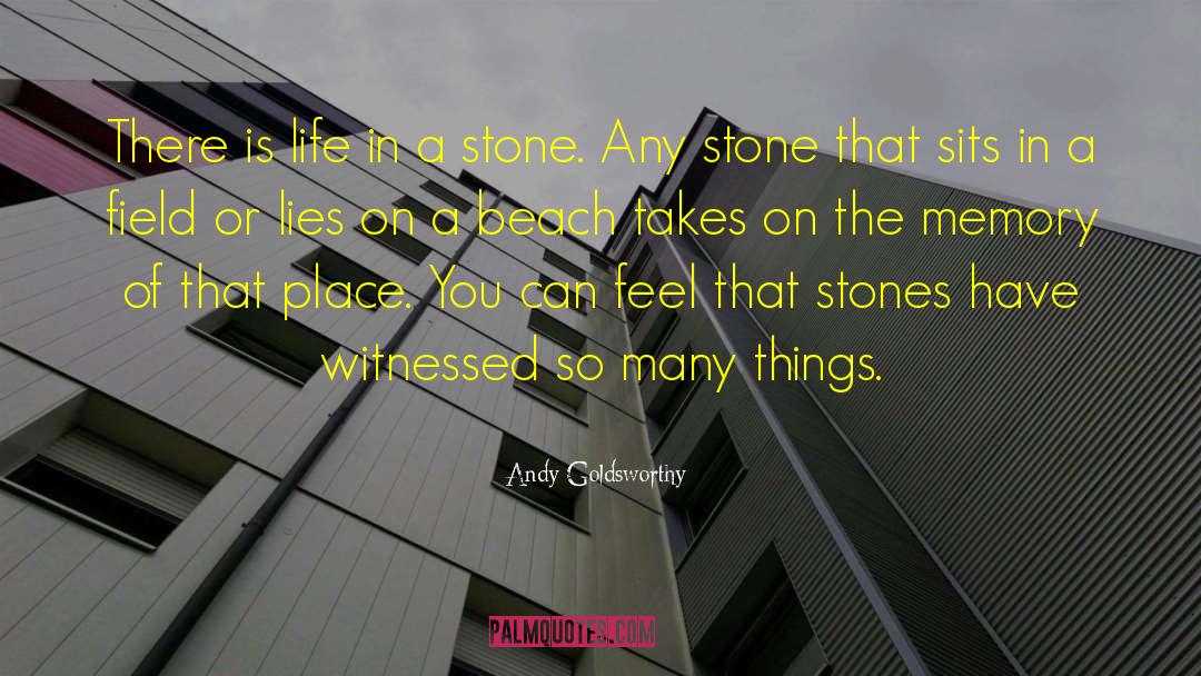 Gruesas Stones quotes by Andy Goldsworthy