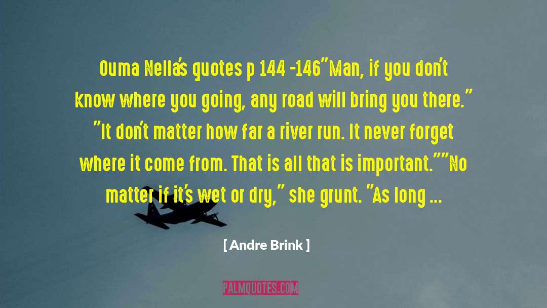 Grunt quotes by Andre Brink