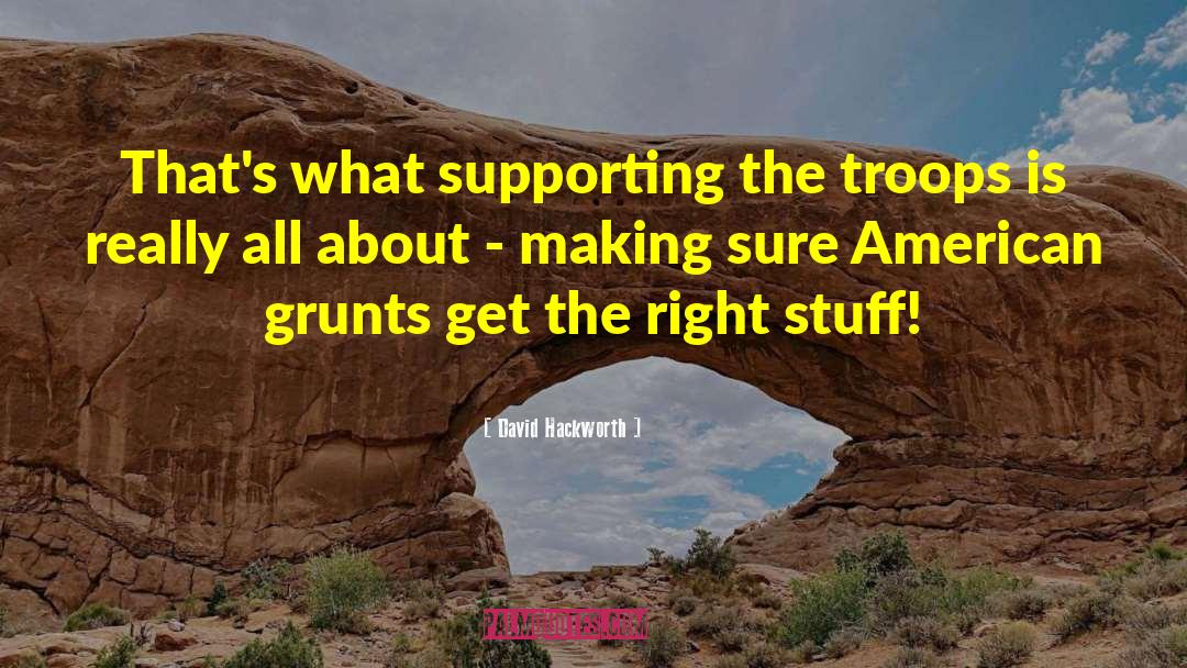 Grunt quotes by David Hackworth