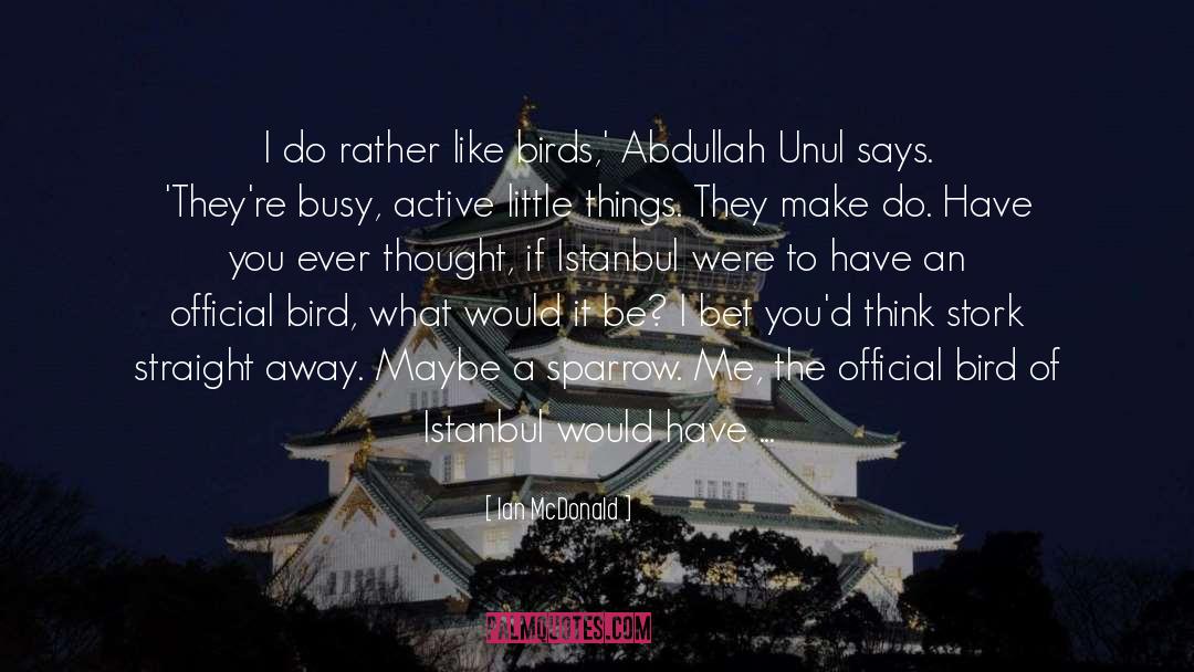 Gruntle Bird quotes by Ian McDonald