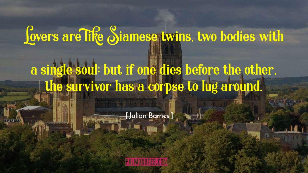 Grushin Twins quotes by Julian Barnes