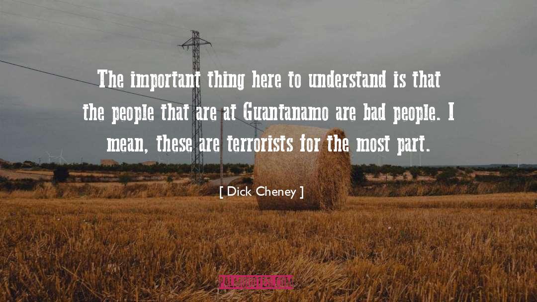 Guantanamo quotes by Dick Cheney