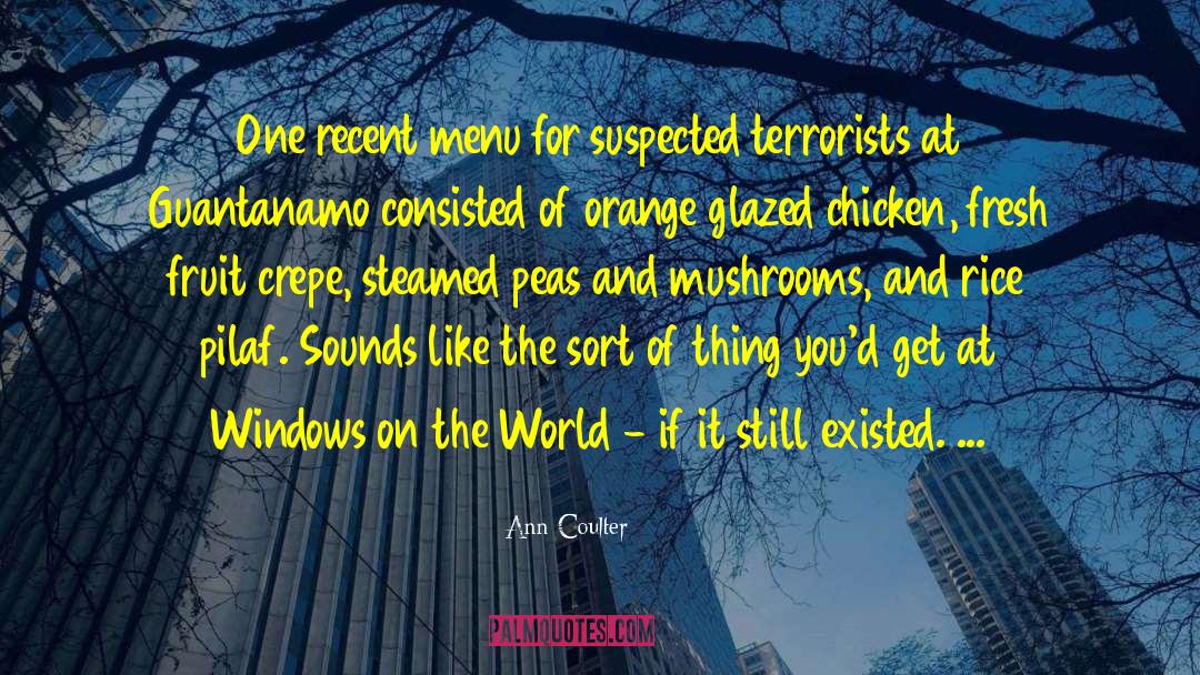 Guantanamo quotes by Ann Coulter