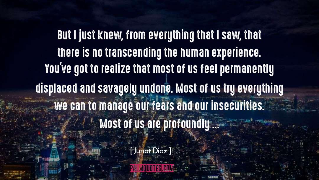 Guarantee quotes by Junot Diaz