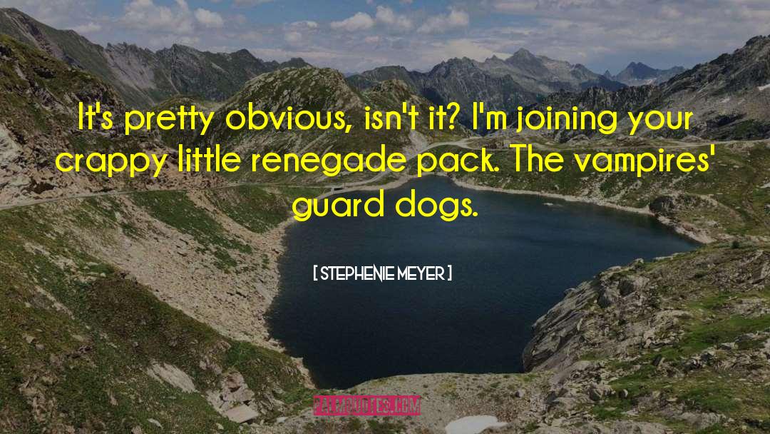 Guard Dogs quotes by Stephenie Meyer