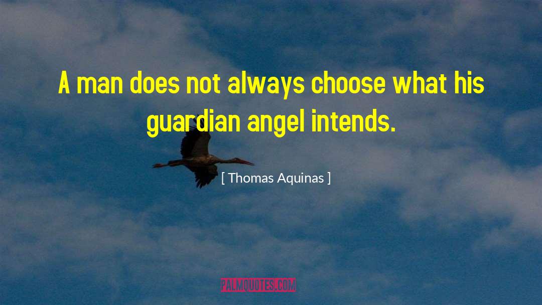 Guardian Angel quotes by Thomas Aquinas