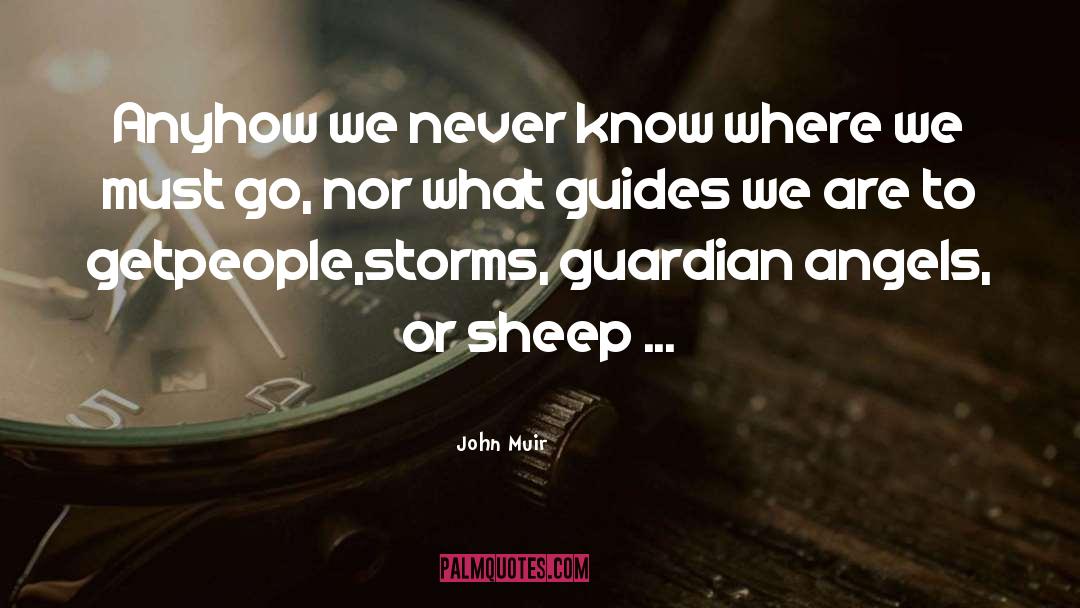 Guardian Angels quotes by John Muir