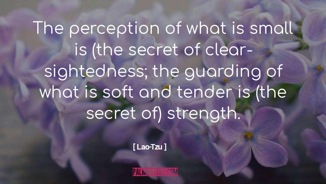 Guarding quotes by Lao-Tzu