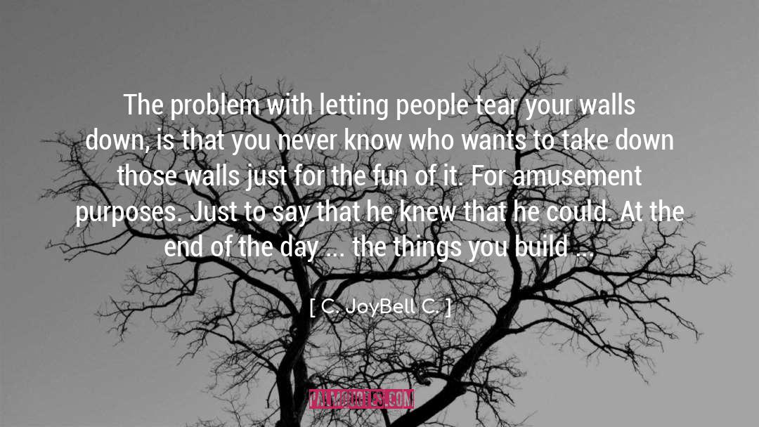 Guarding Your Heart quotes by C. JoyBell C.