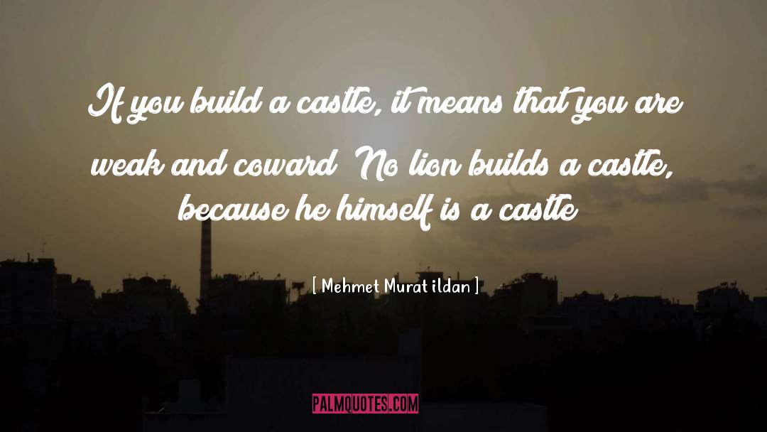 Gudenau Castle quotes by Mehmet Murat Ildan