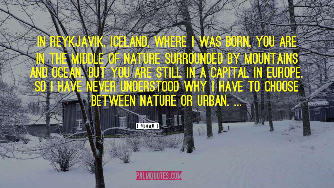 Gudmundsson Iceland quotes by Bjork