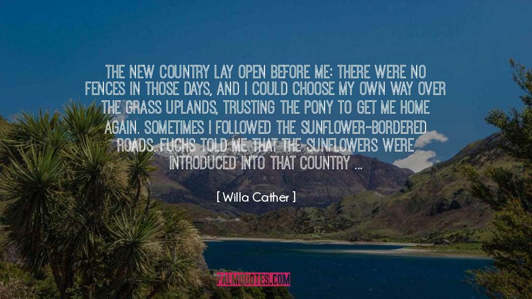 Guenter Grass quotes by Willa Cather