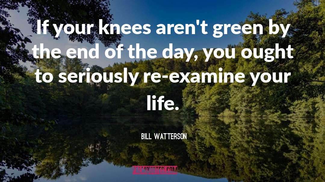 Guerrilla Gardening quotes by Bill Watterson