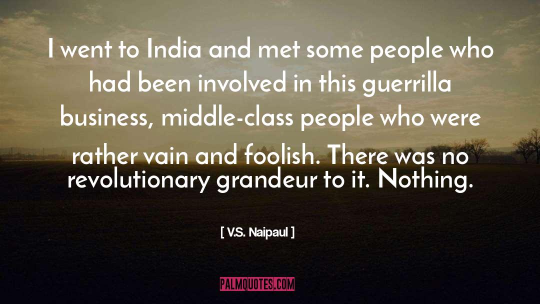 Guerrilla quotes by V.S. Naipaul