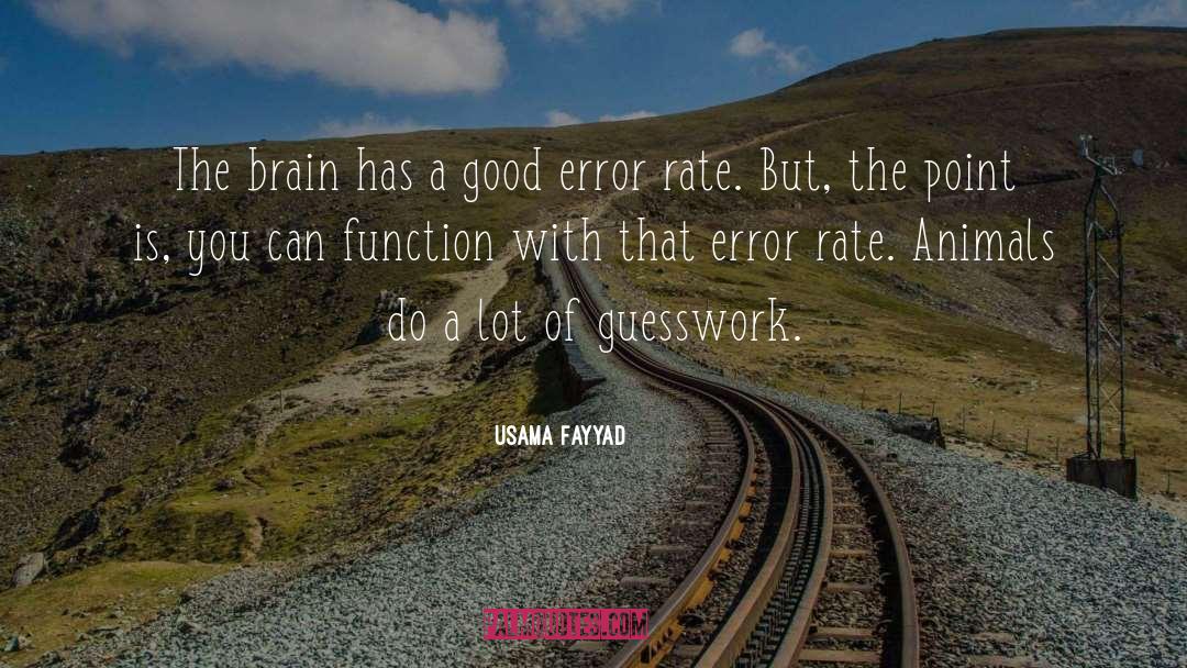 Guesswork quotes by Usama Fayyad