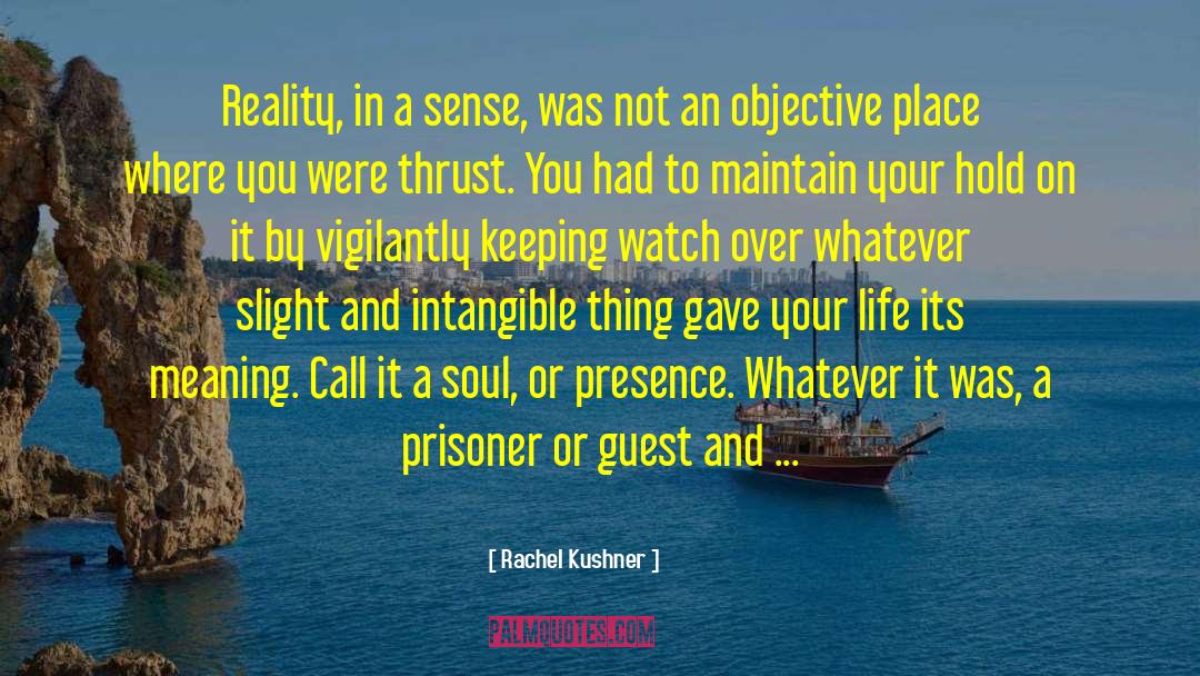 Guest quotes by Rachel Kushner