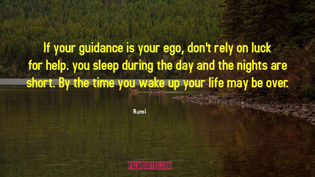 Guidance Counselor quotes by Rumi