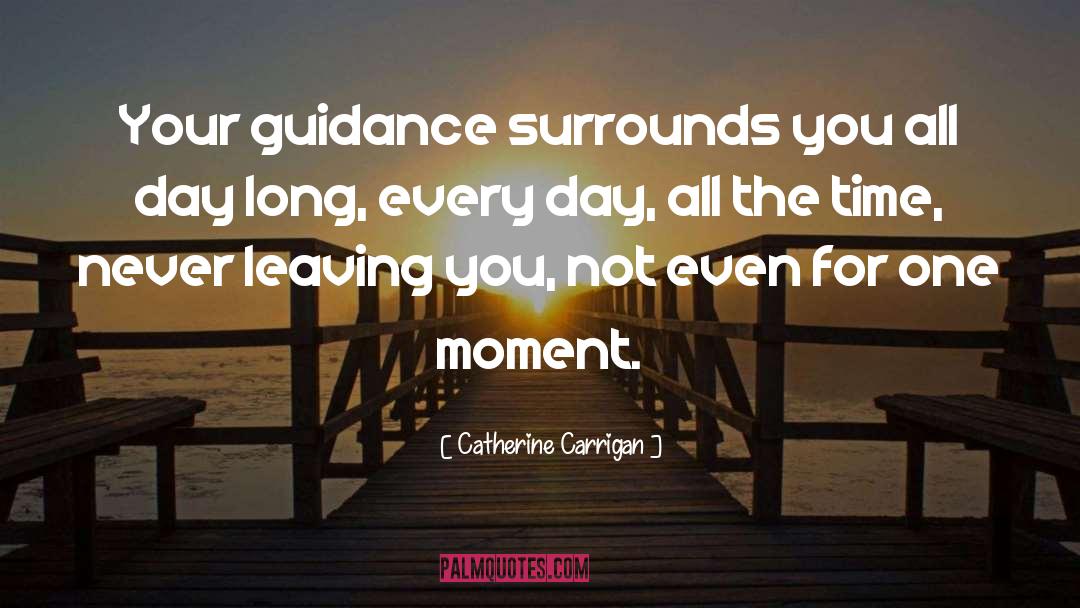 Guidance In Life quotes by Catherine Carrigan