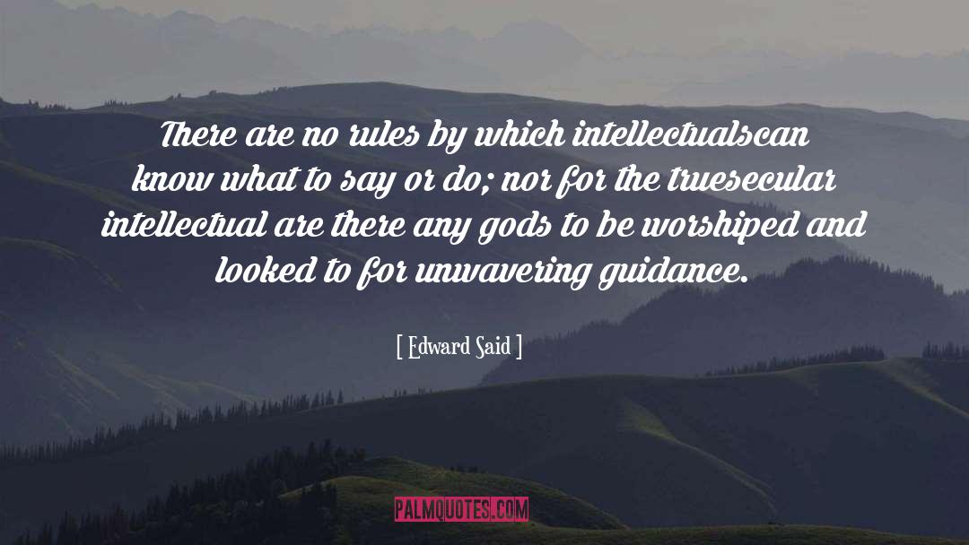 Guidance quotes by Edward Said
