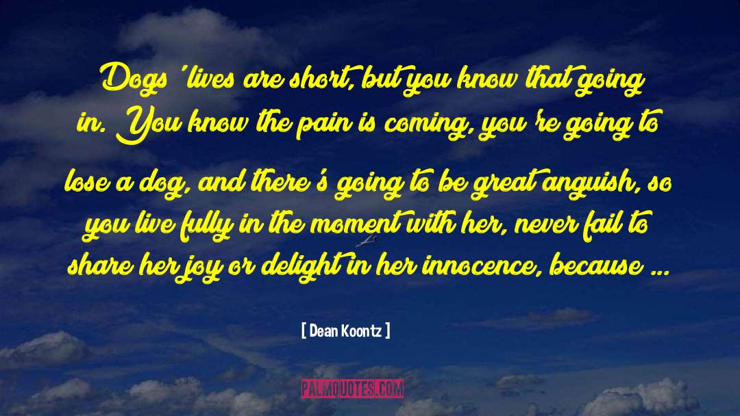 Guide Dogs quotes by Dean Koontz