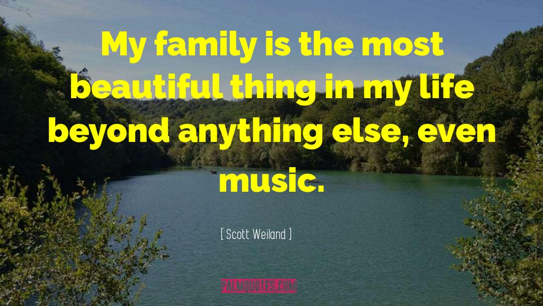 Guideline In Life quotes by Scott Weiland