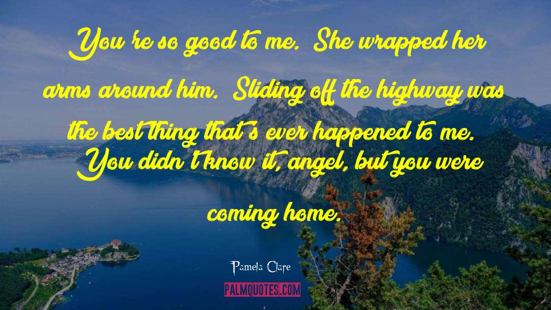 Guiding Angel quotes by Pamela Clare