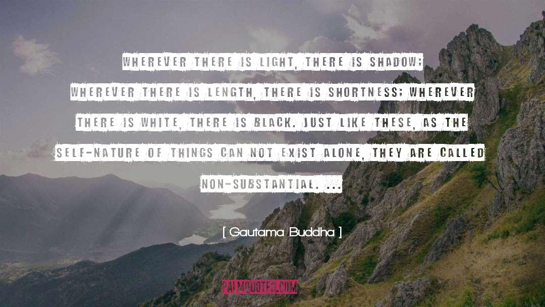 Guiding Light quotes by Gautama Buddha