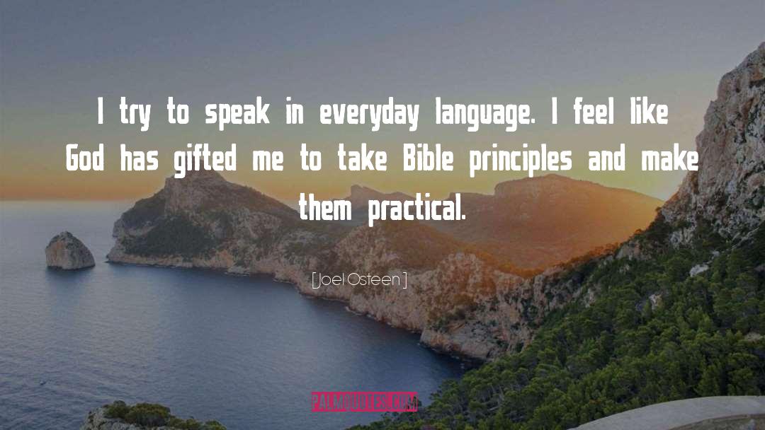 Guiding Principles quotes by Joel Osteen