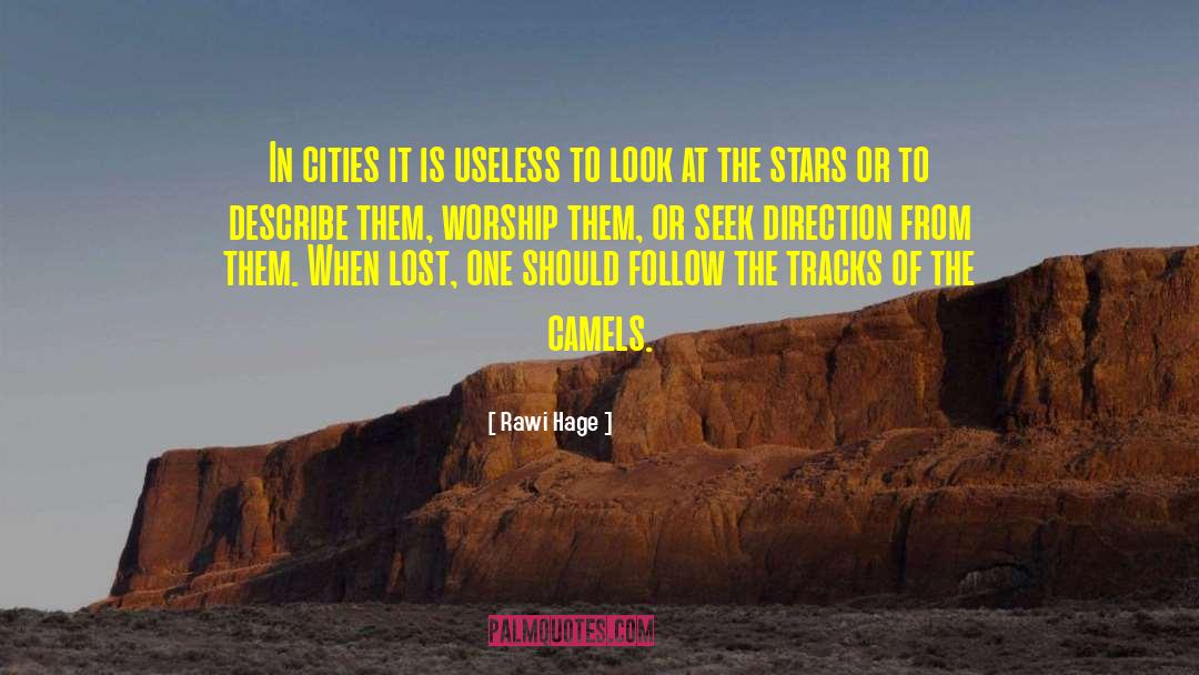 Guiding Stars quotes by Rawi Hage