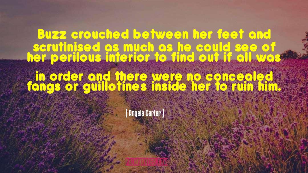 Guillotine quotes by Angela Carter