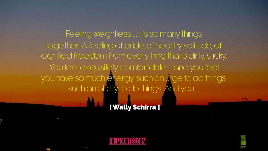 Guilty Feeling quotes by Wally Schirra