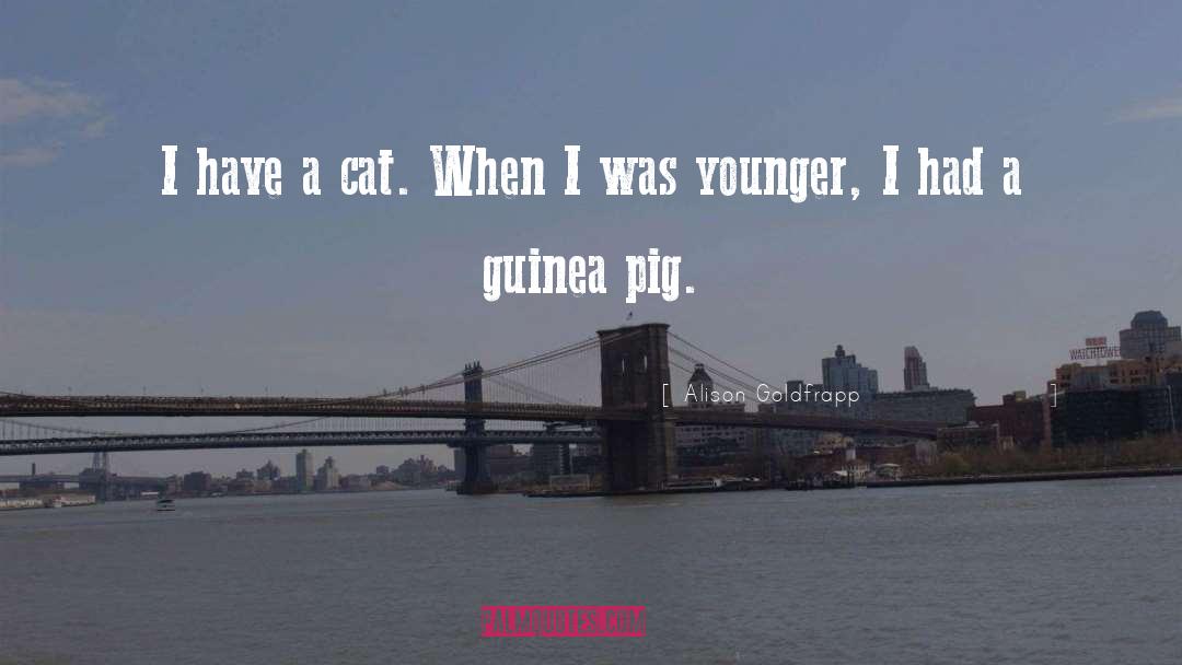 Guinea Pig quotes by Alison Goldfrapp