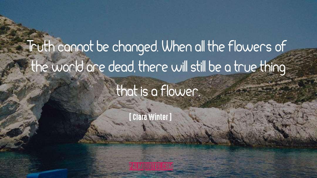 Guinevere quotes by Clara Winter