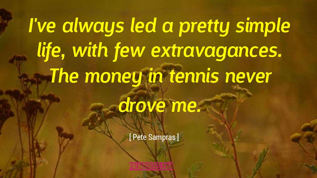 Guirlandes Led quotes by Pete Sampras