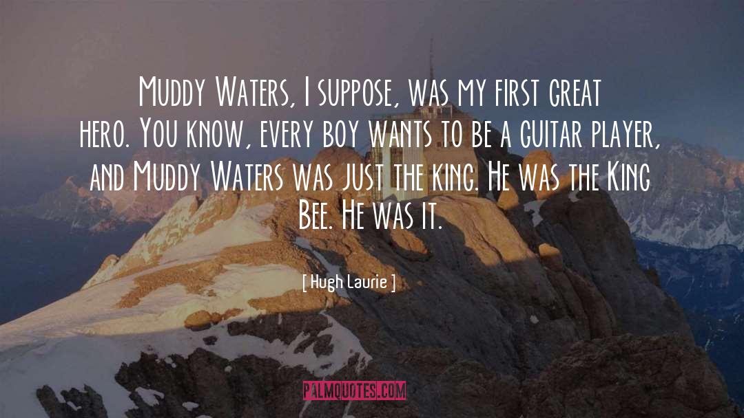 Guitar Player quotes by Hugh Laurie