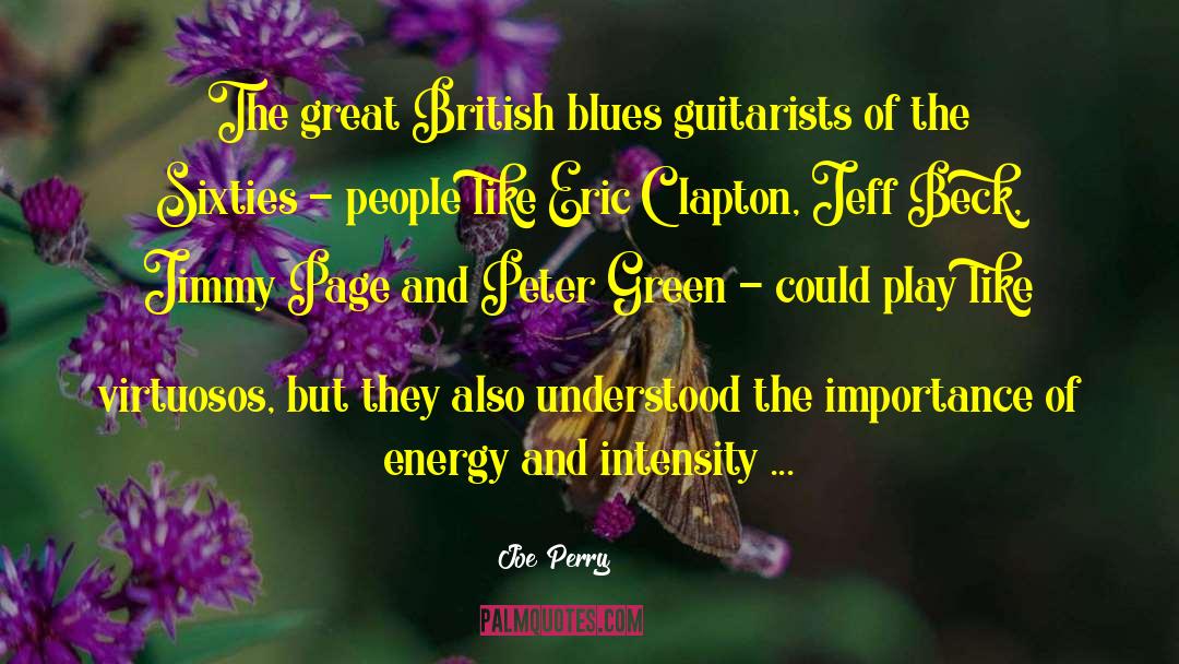 Guitarist quotes by Joe Perry