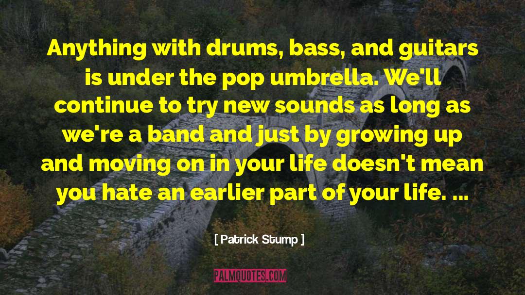 Guitars quotes by Patrick Stump