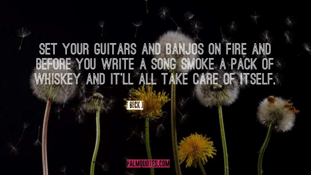 Guitars quotes by Beck
