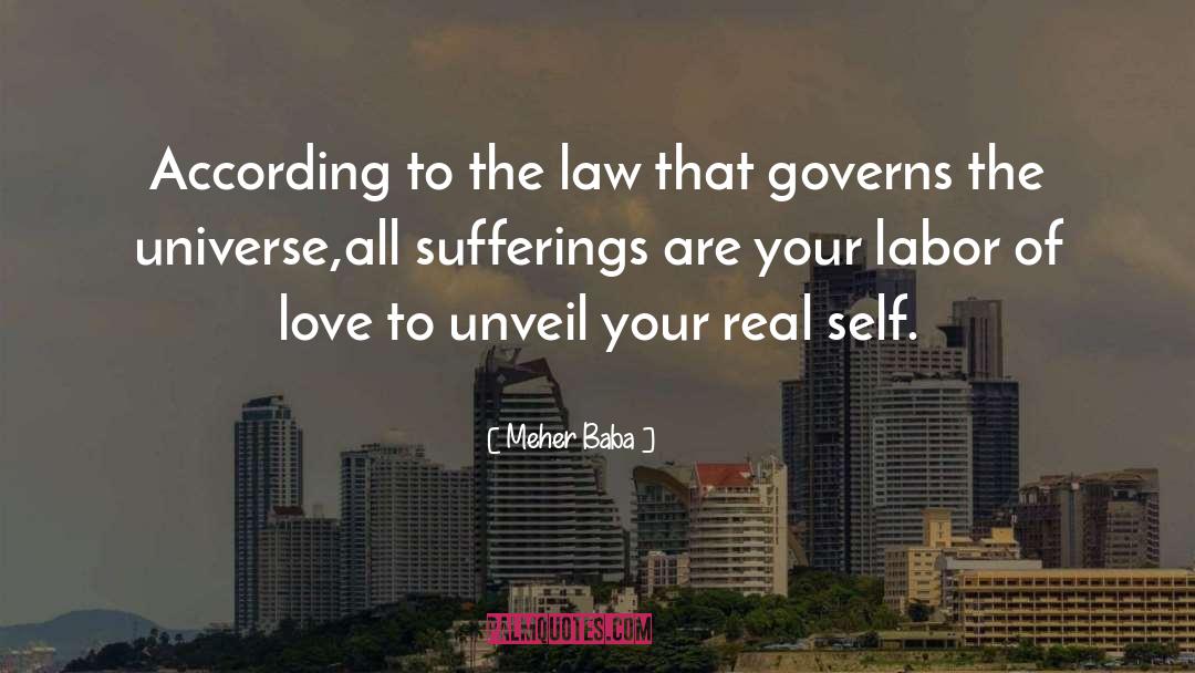 Guizot Law quotes by Meher Baba